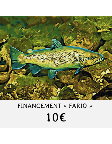 Financement " FARIO " - Valeur 10 €