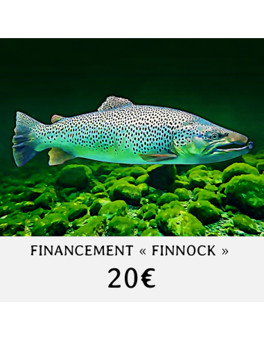 Financement " FINNOCK " - Valeur 20 €