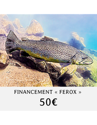 Financement " FEROX " - Valeur 50 €