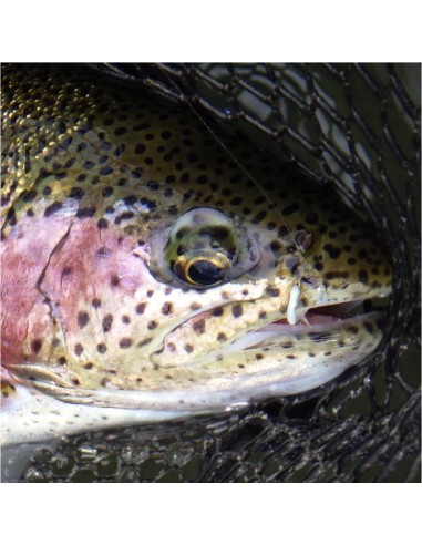 Translucent WHITE Scud [ DOHIKU Hook N°16...