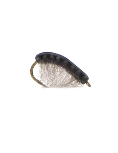 Translucent shrimp / gammarus GRAY [ hook N°14 TIEMCO 2499 SPBL ]