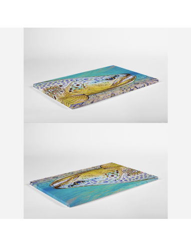 Toile imprimée " SARCA "