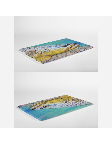 Toile imprimée " SARCA "