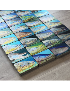 Pack de 8 boîtes de rangement