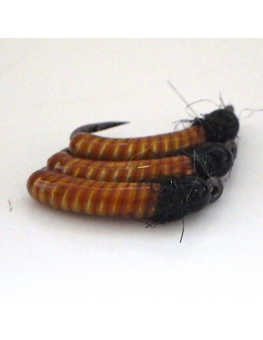 Mini Z-Caddis " MOUTARDE " [ Hameçon N°8 KLOR...