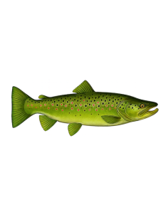 Visuel gratuit N°30