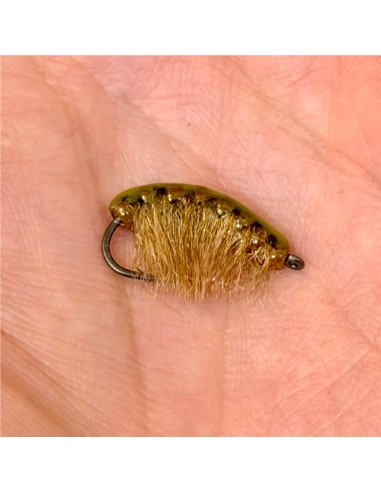 Gambas ( Gammare XXL ) CARAMEL [ Hameçon N°2...