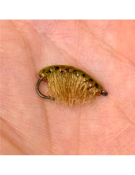 Gambas ( Gammare XXL ) CARAMEL [ Hameçon N°2 BKK AVEC ARDILLON ]