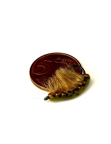 Gambas ( Gammare XXL ) CARAMEL [ Hameçon N°2...