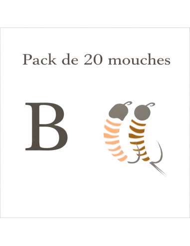 Pack de 20 nymphes - B
