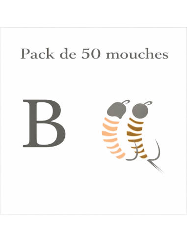 Pack de 50 nymphes - B