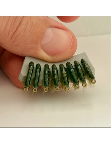 copy of Translucent shrimp / gammarus OLIVE [...