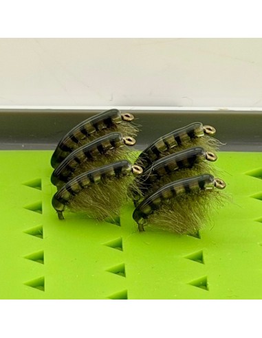 copy of Translucent shrimp / gammarus OLIVE [...